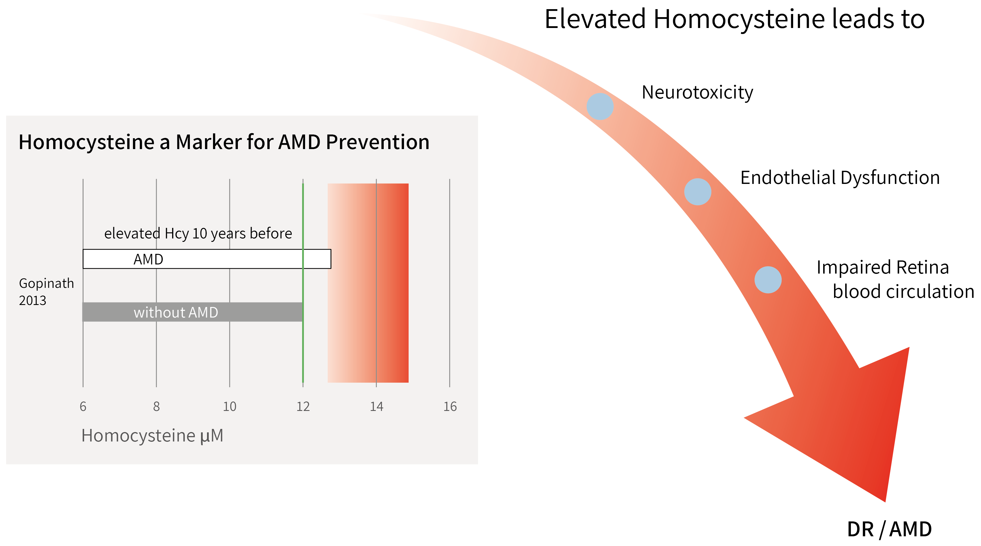 Correlation Homocysteine and Folate